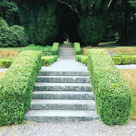 Inistioge Woodstock Courtyard 아파트 외부 사진