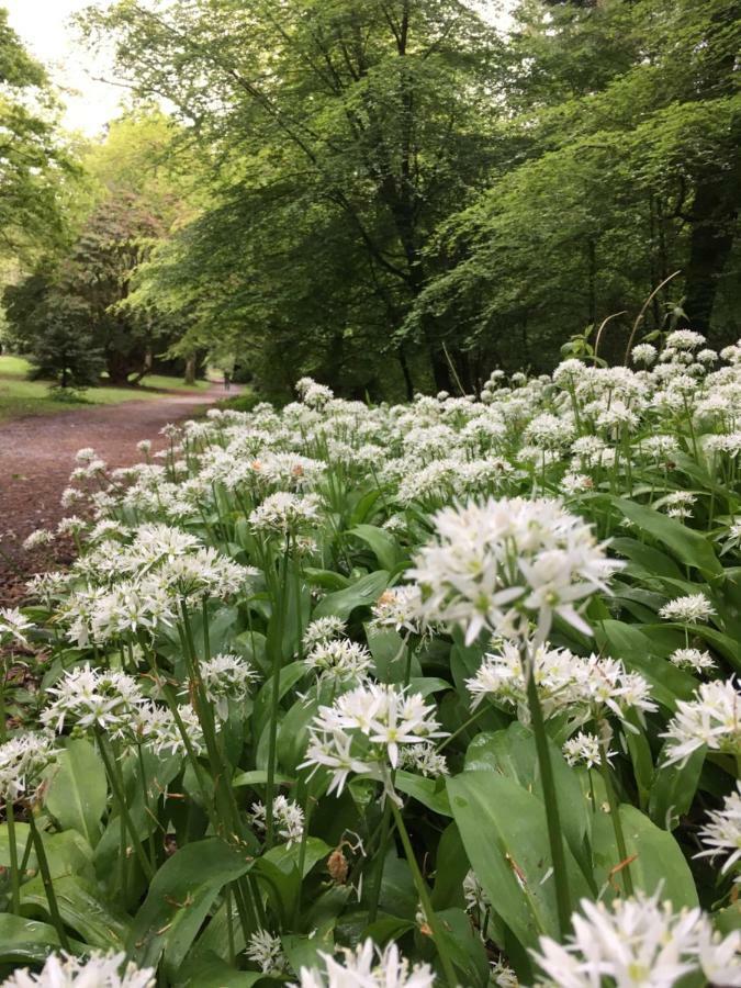 Inistioge Woodstock Courtyard 아파트 외부 사진